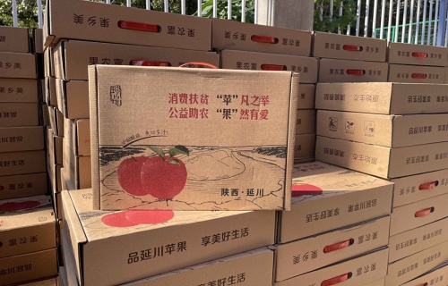 stake“扶贫助农，振兴乡村”活动