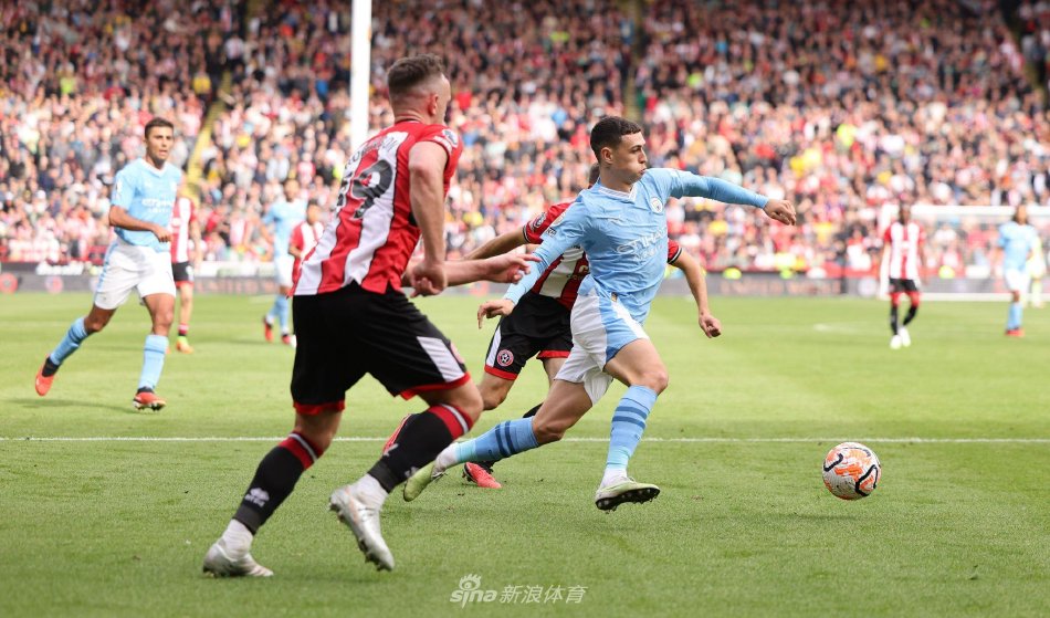 专家指出 专家指出